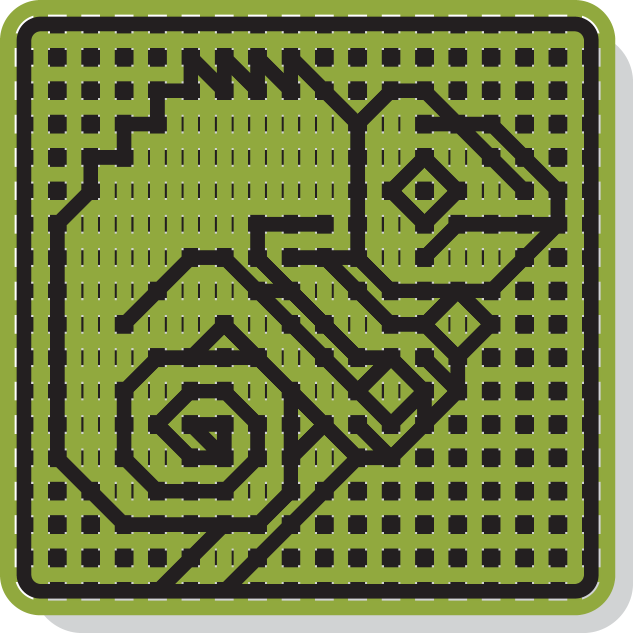 Flap-Necked Chameleon