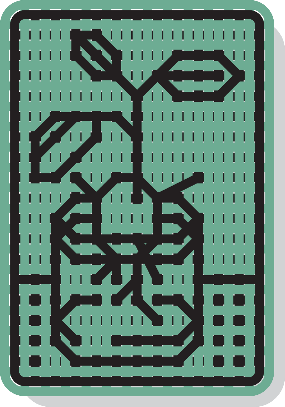 Seed sprouting in a glass